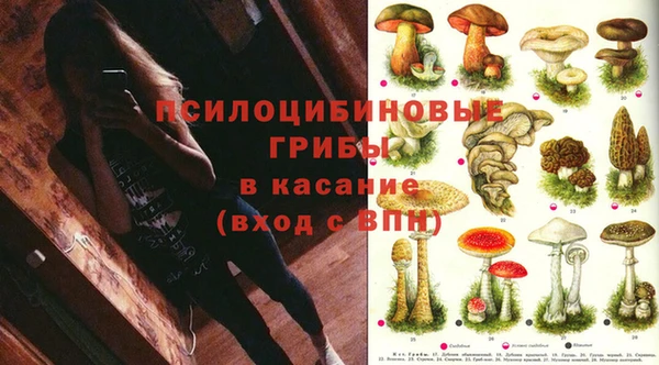 соль ск Балабаново